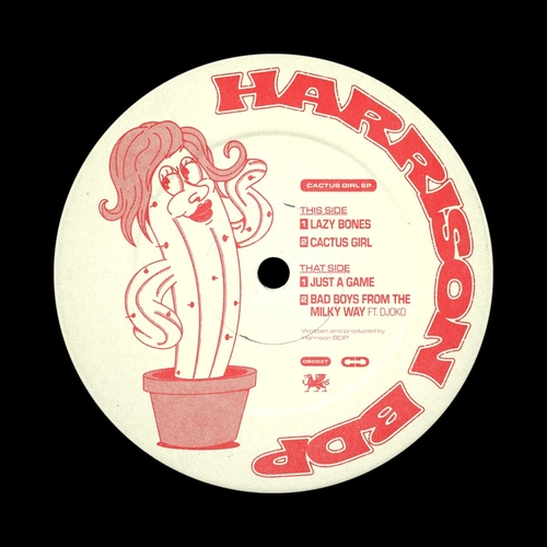 Harrison BDP - Cactus Girl EP [DSD037]